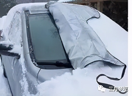 amazon选择类目技巧,amazon新手开店选哪款免费的erp好