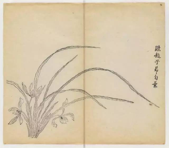 毛笔怎么画兰草,怎么画兰花和书法