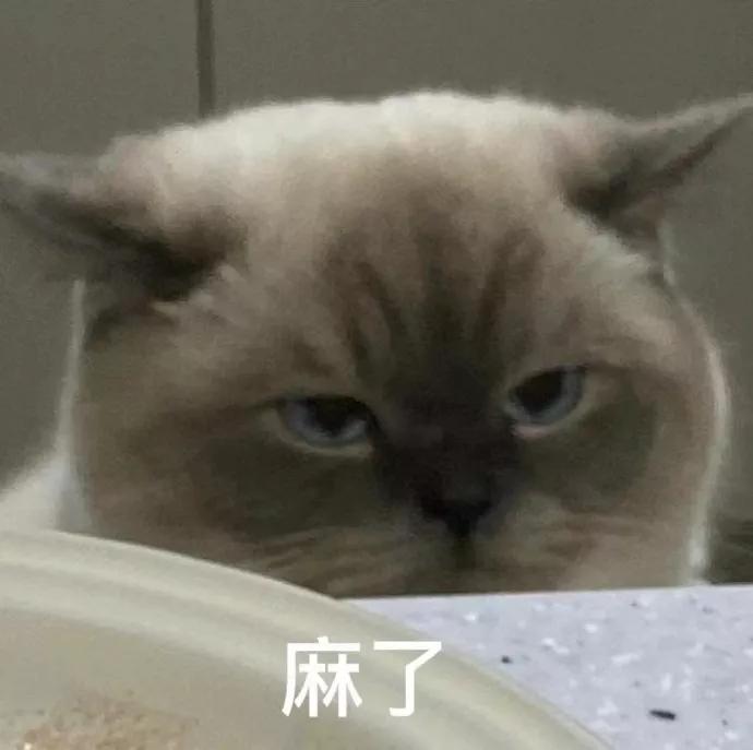 表情包搞笑沙雕惊讶的表情包,沙雕搞笑表情包动态