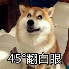 最近最爱的单品,受欢迎的单品合集