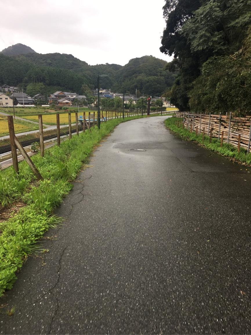 日本九州大学和福冈大学,日本九州大学与西南大学