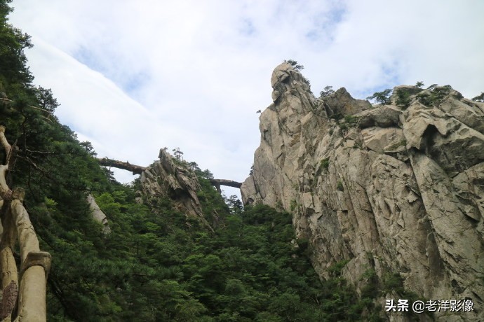 藏龙大别山度假酒店,罗田天堂寨藏龙大酒店价格