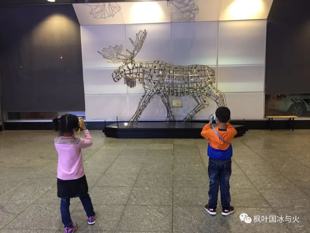 现在一家三口去一次加拿大10天,一家三口去加拿大