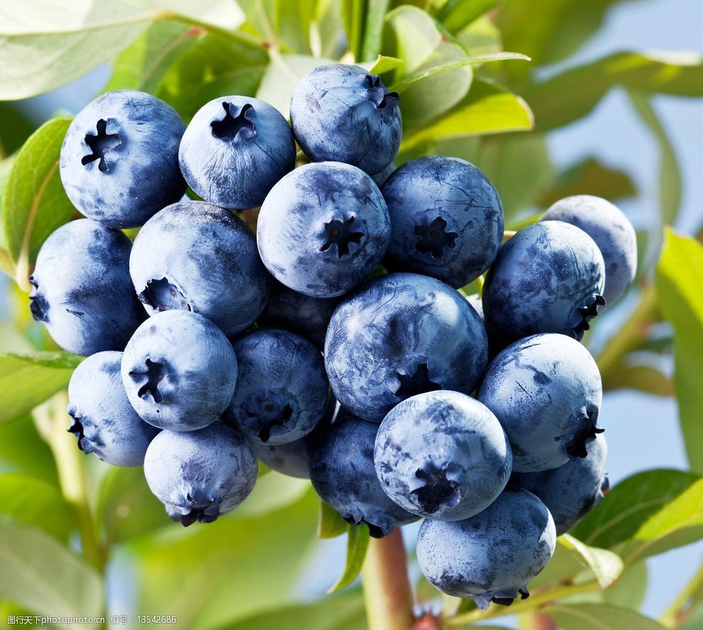 家乡特色美食分享,我家乡的特色是什么