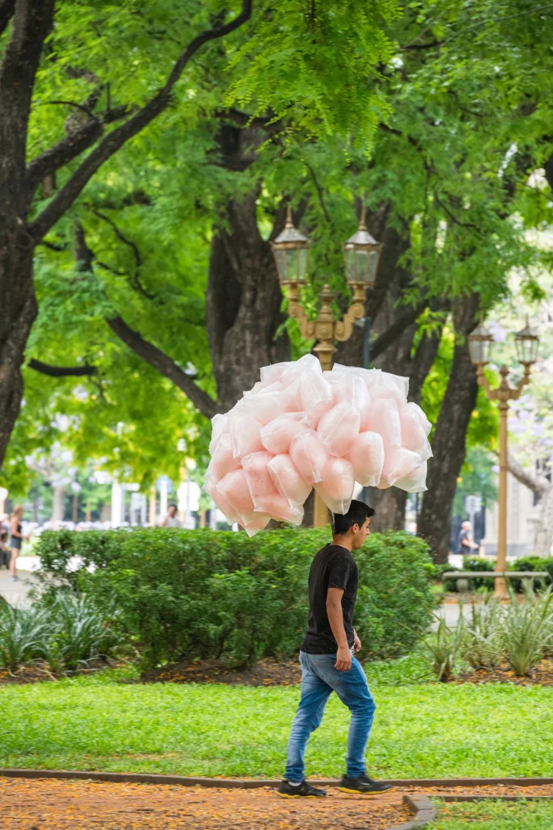 布宜诺斯艾利斯是在南美吗,布宜诺斯艾利斯漫游南美