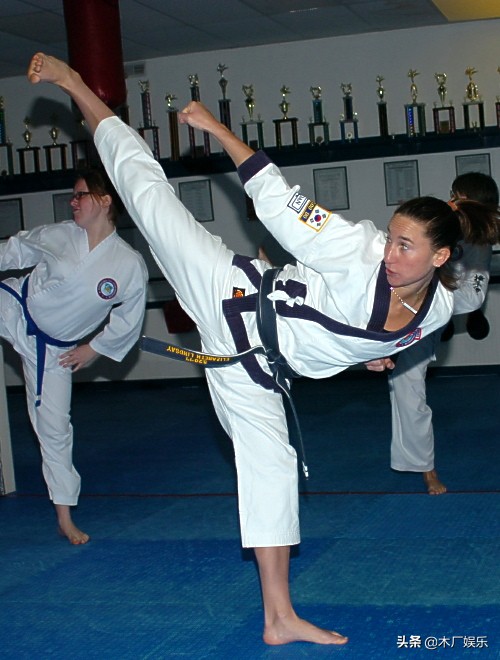 不同侧踢技术的比较分析,前踢实战运用