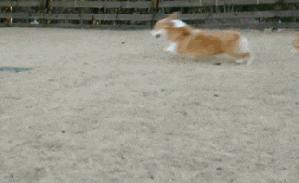 怎么笑话自己,搞个笑话逗自己开心