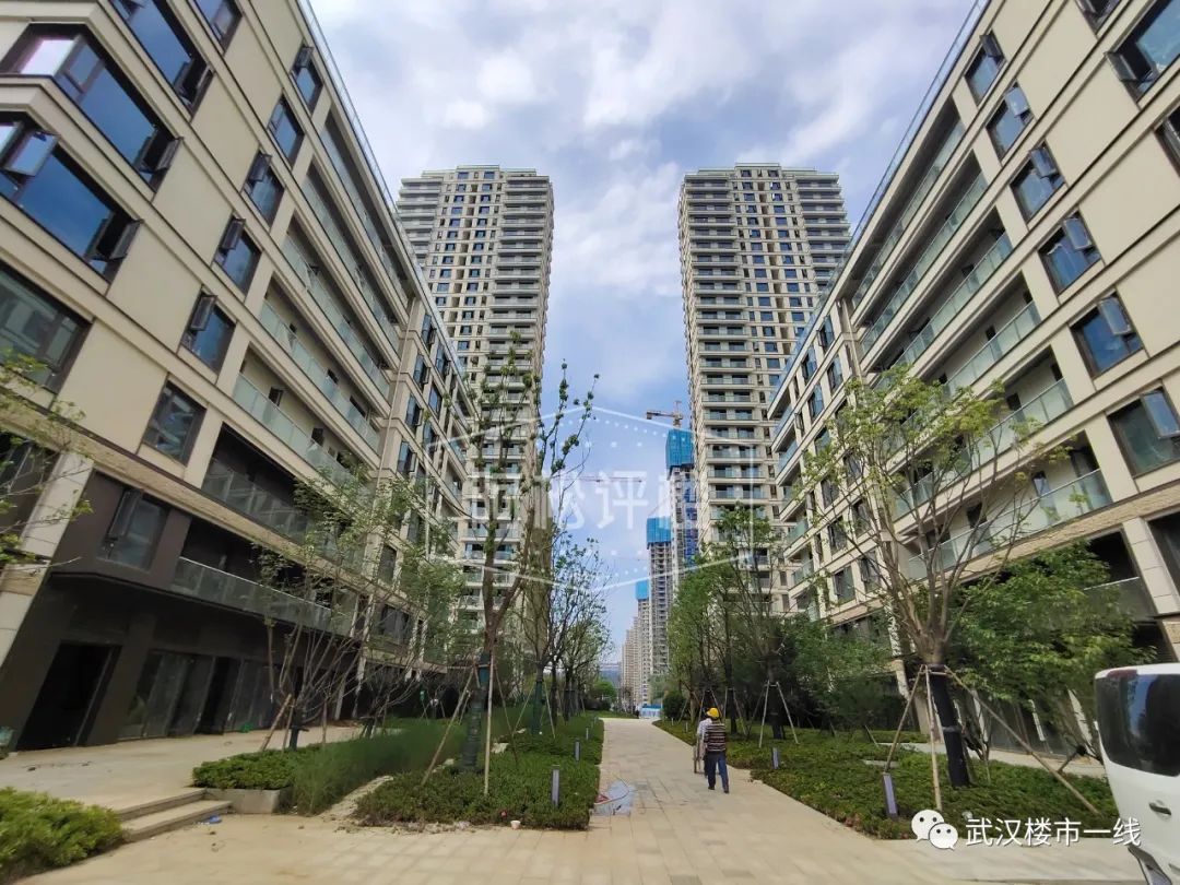 开挂了！比肩世界的爆款区域利好多到数不清！一般人已高攀不起