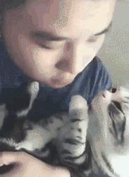 你根本不知道，养只猫有多幸福！