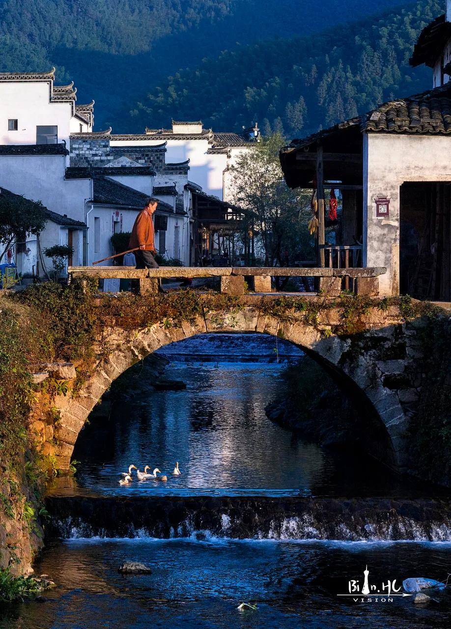 安徽春天美丽的视频,安徽美丽的春天