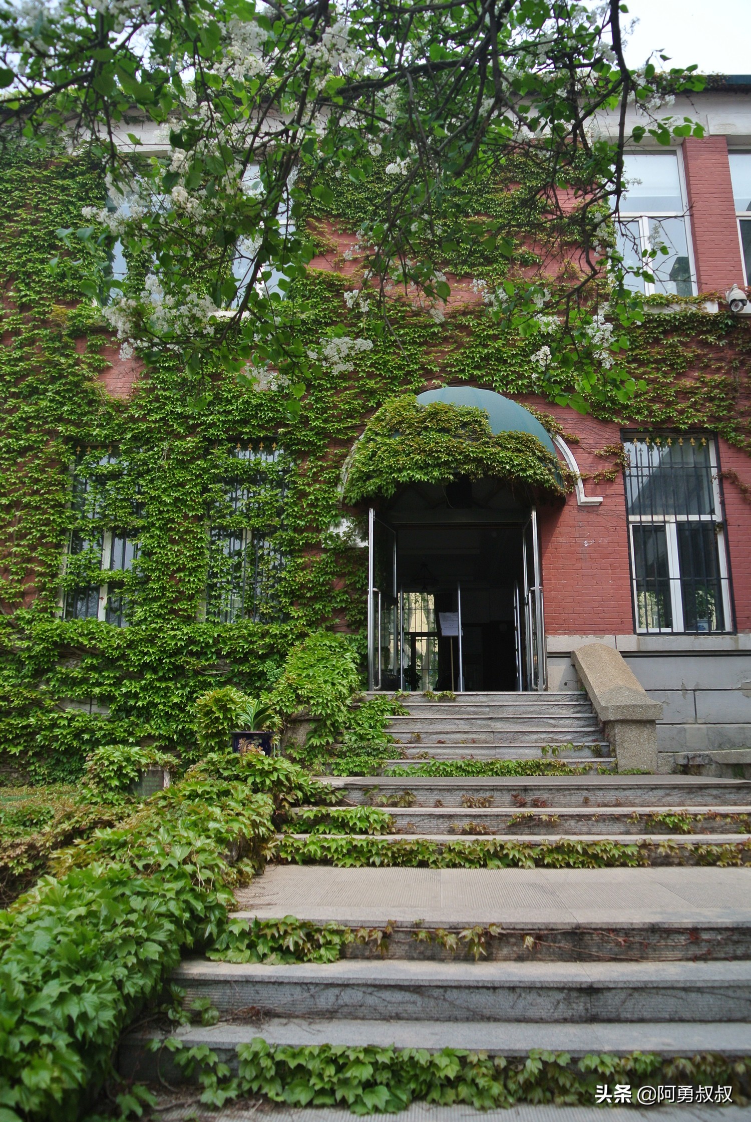 大连市第二十四中学内设机构,大连市第二十四中学金普校区