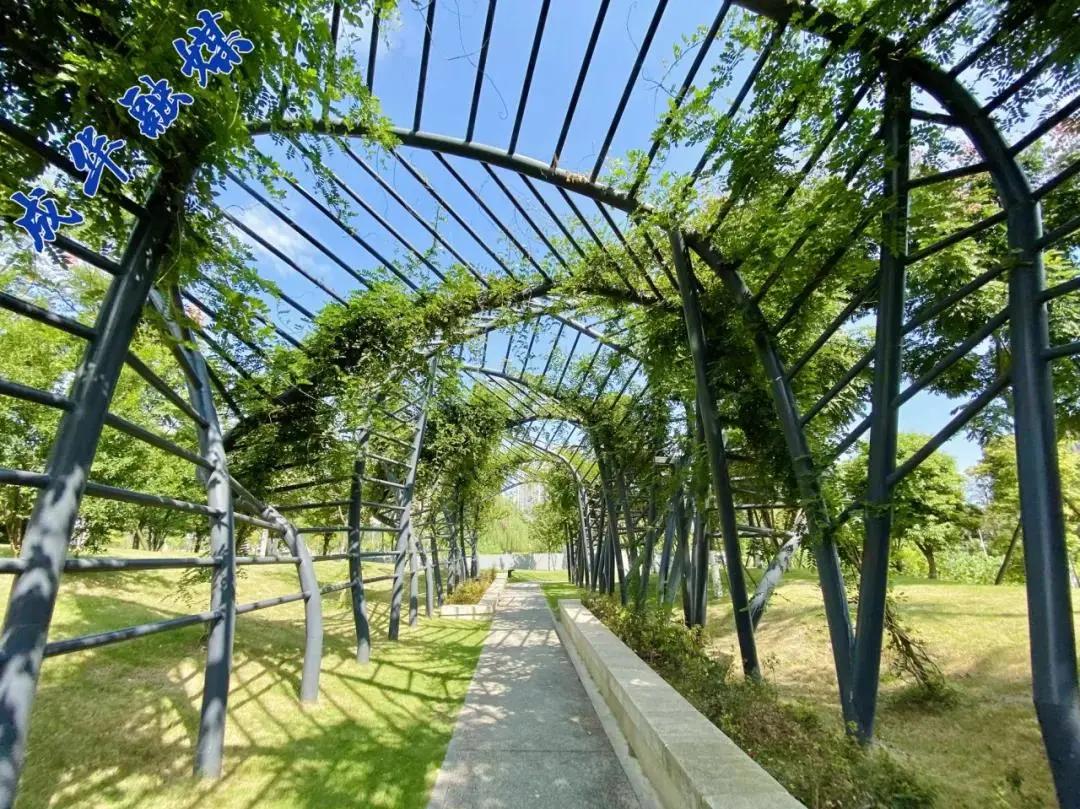 江北二仙桥,一心桥二仙桥