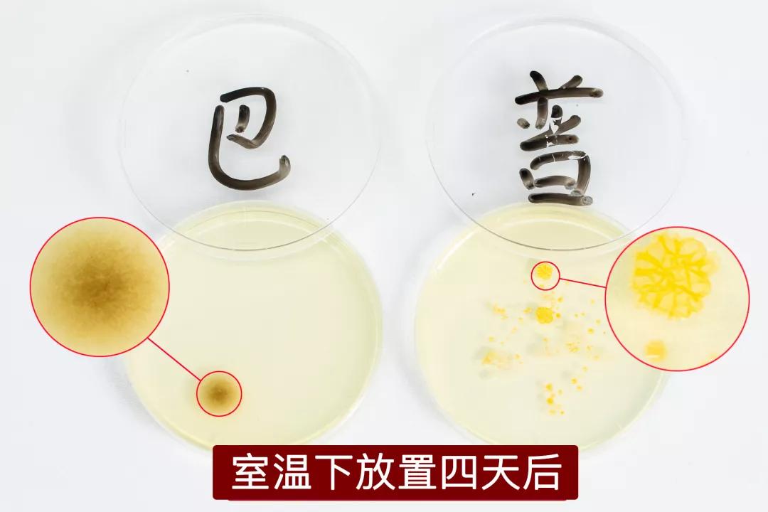 日本黑科技发明厨房,日本发明黑科技棺材车