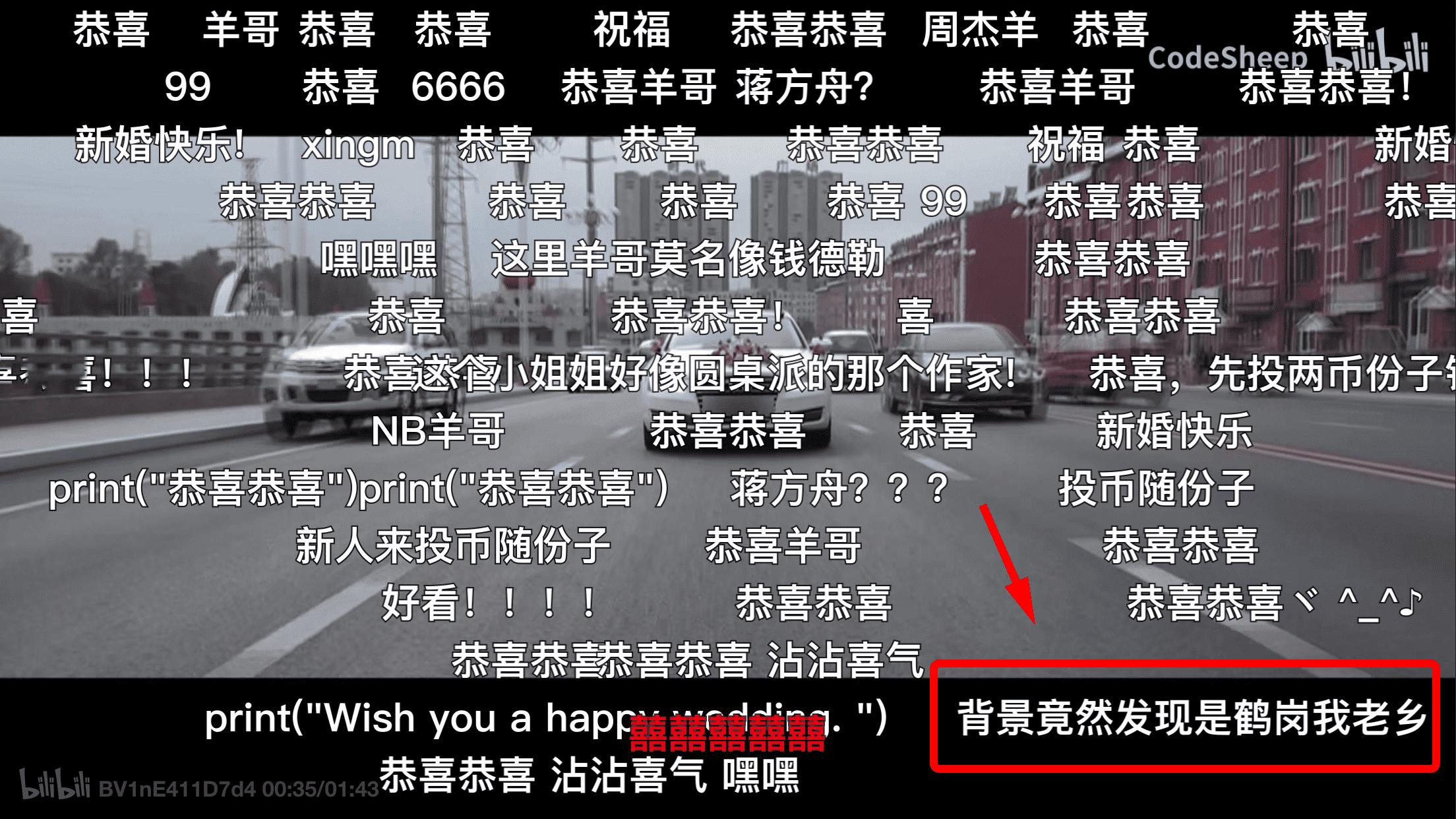 实不相瞒，我就是鹤岗的女婿