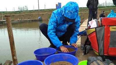 200元左右偷驴竿子,200元偷驴