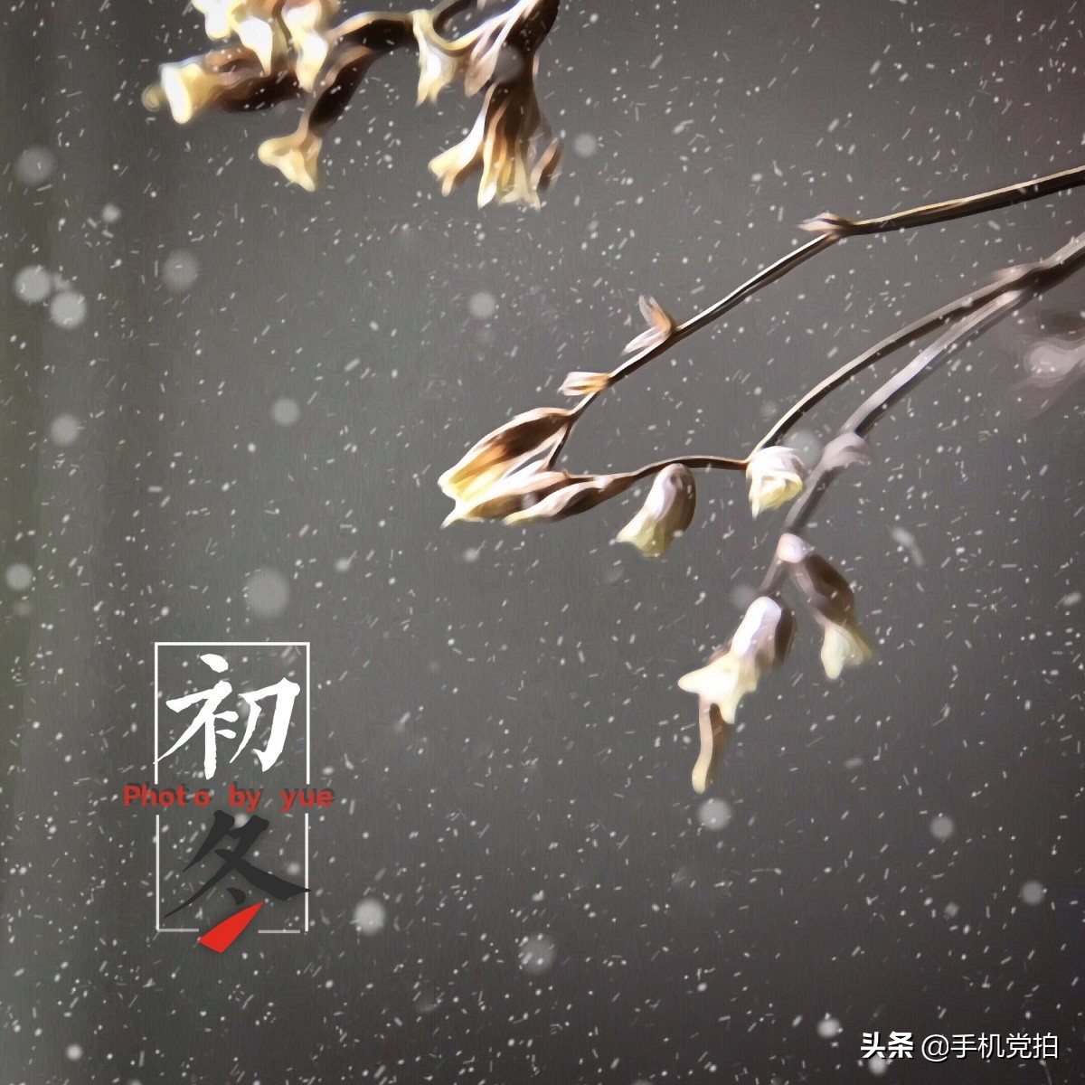 手机拍摄雪花的正确方法,手机拍雪花微距