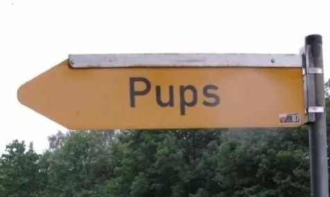 德国人严谨起来到底有多可怕,德国人严谨起来有多可怕的视频