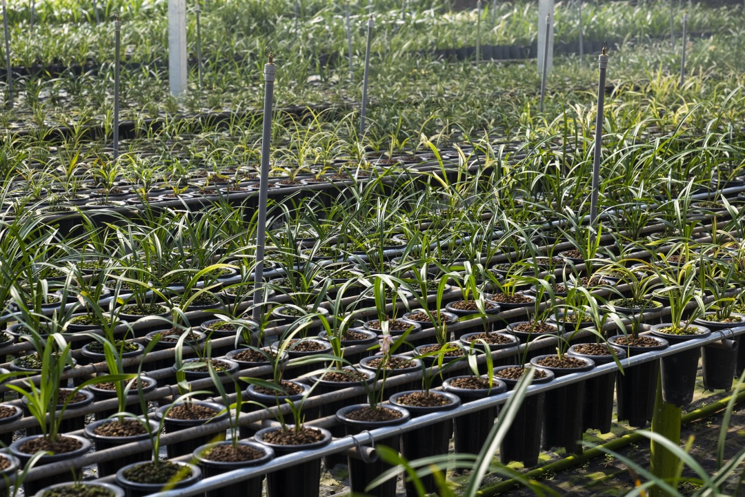 藏在福建漳州南靖的世外桃源,南靖世外桃源