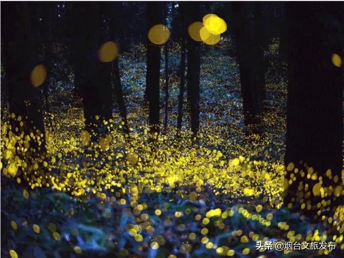 烟台五一假日攻略,烟台欢乐汇玩法