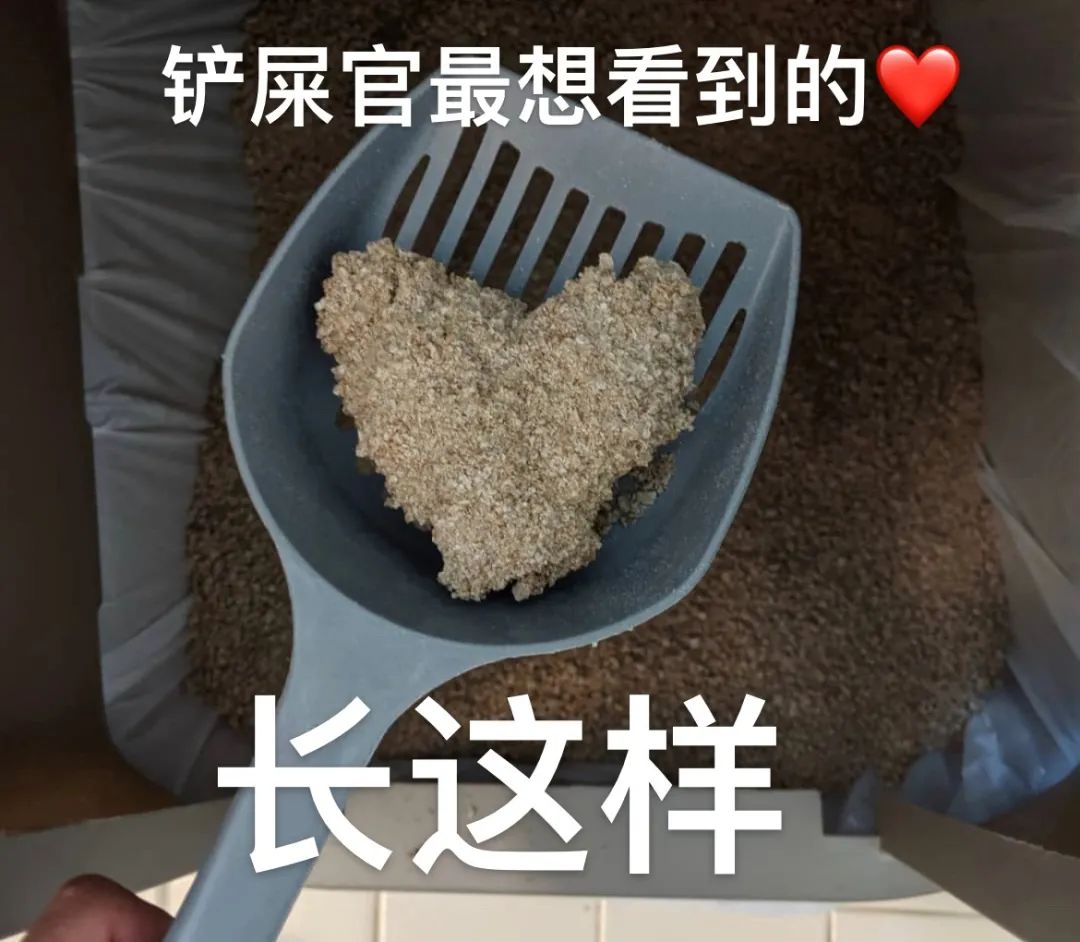 男言之隐怎么样,男言之隐介绍