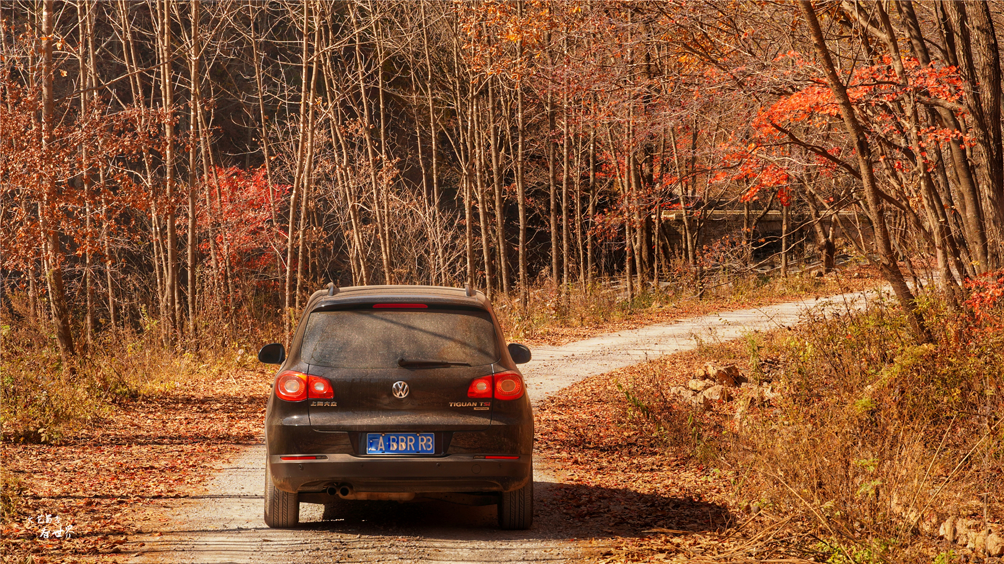 本溪关门山看枫叶最佳游览路线,本溪红叶层林尽染自驾游攻略