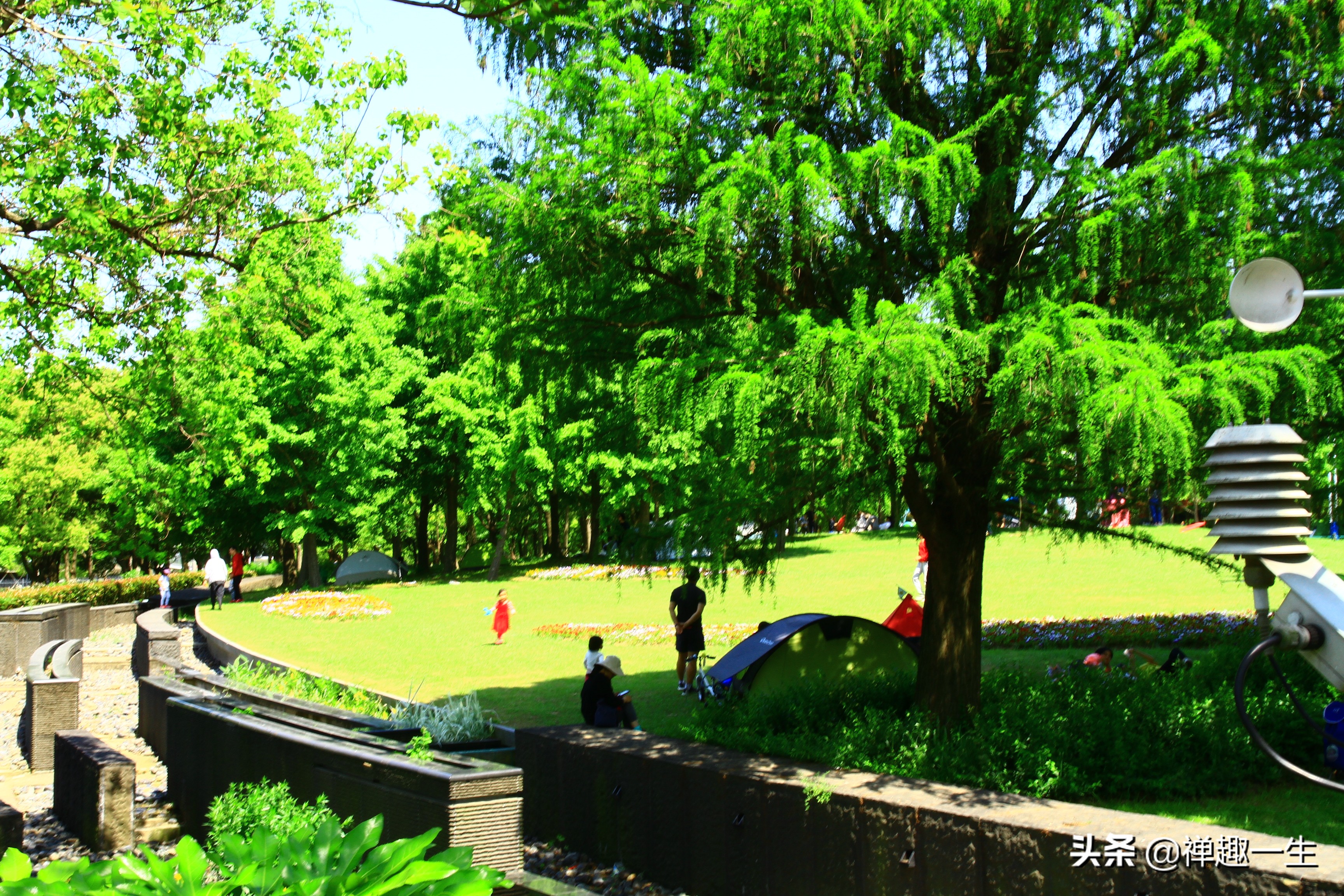 黄浦江滨江公园,黄浦江滨江公园在哪里