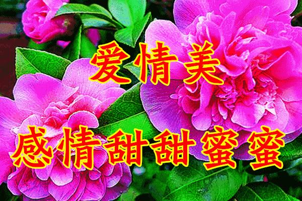三八妇女节将至祝姐妹们节日快乐,三八妇女节提前祝女友们节日快乐