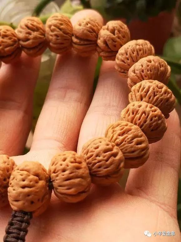 君子潜修己身是什么意思,君子慎独修己以安人全文