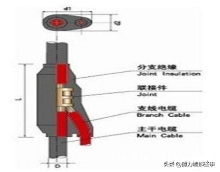 什么是预分支电缆,预分支电缆主要用在哪些地方