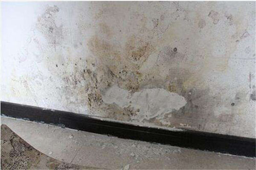 如何解决地下室发霉问题,地下室发霉条件