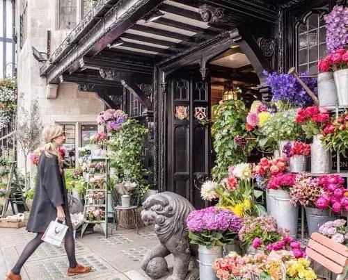 开一个花店指南,如果你也想开一家花店书籍