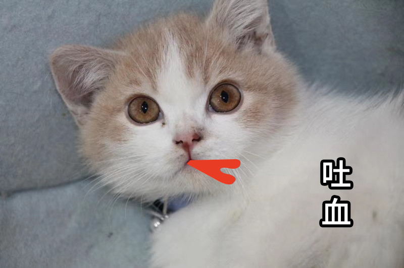 奇怪！一篇连加减乘除都没算对的帖子挽救了燕郊楼市的尊严！