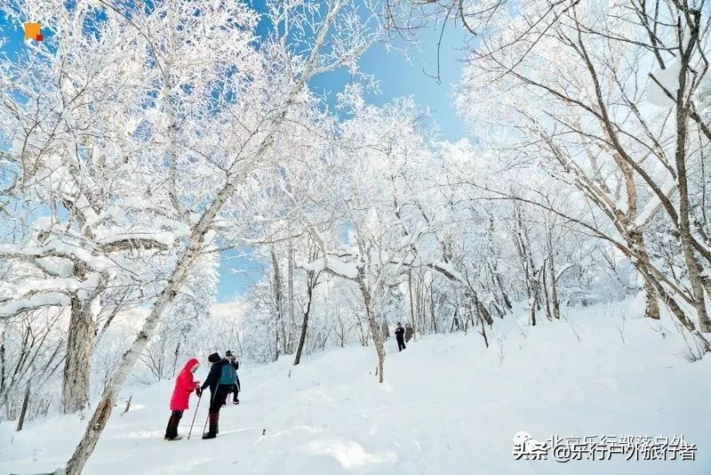 冬天漠河白桦林童话世界完整视频,冰雪大世界长白山雪乡六天五晚