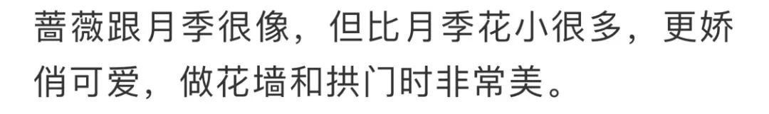 看到花的时候,不知是什么花?那就收下这份百花图谱