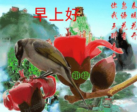 微信早上好最暖心祝福问候语图片,最新群友们早上好问候祝福语