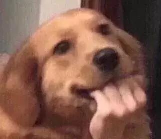 宁波济州岛旅游团价格表,宁波9元飞机票济州岛