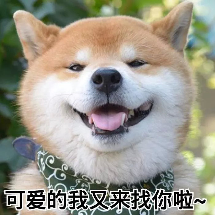 日常常用的美妆类产品,日常好用的美妆