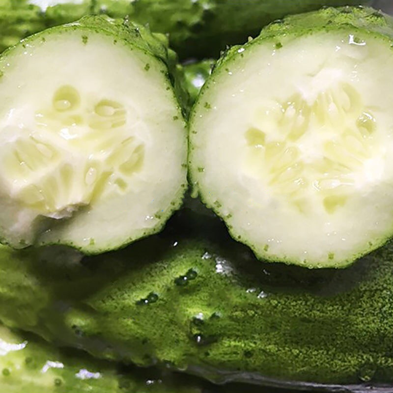 农村种的最好的黄瓜,6月份种植黄瓜苗