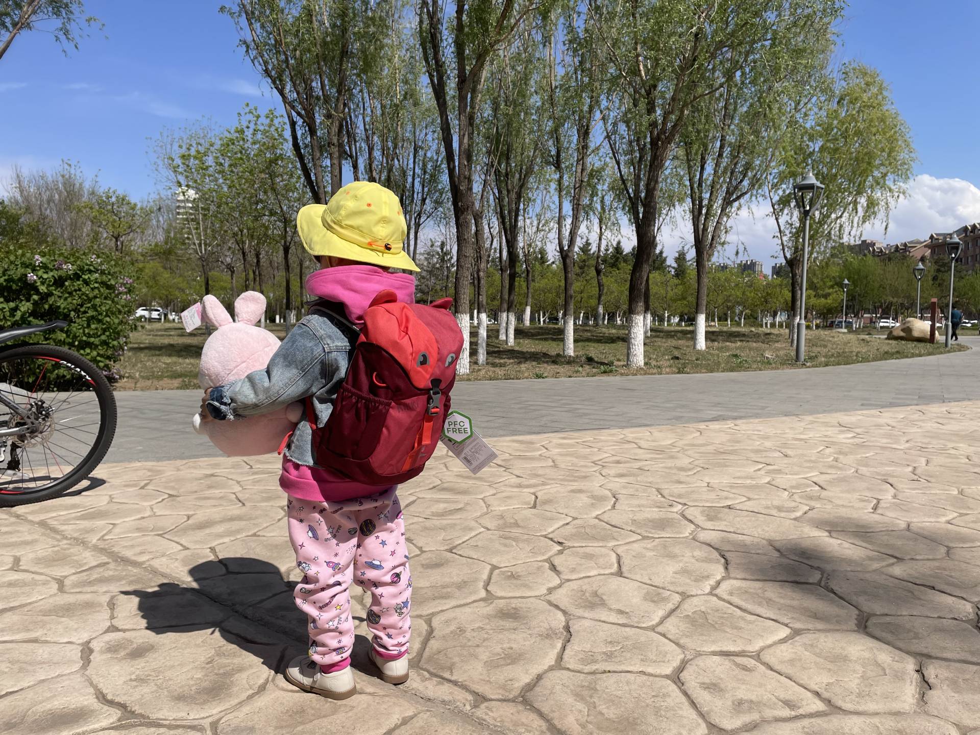 多特儿童书包,儿童的书包买什么样的