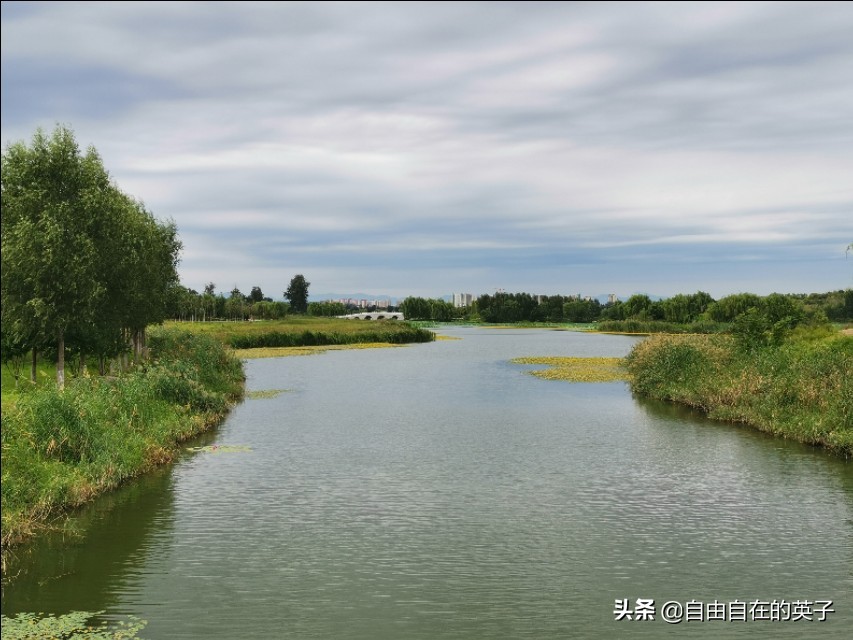南海子湿地公园攻略,南海子湿地公园分布图