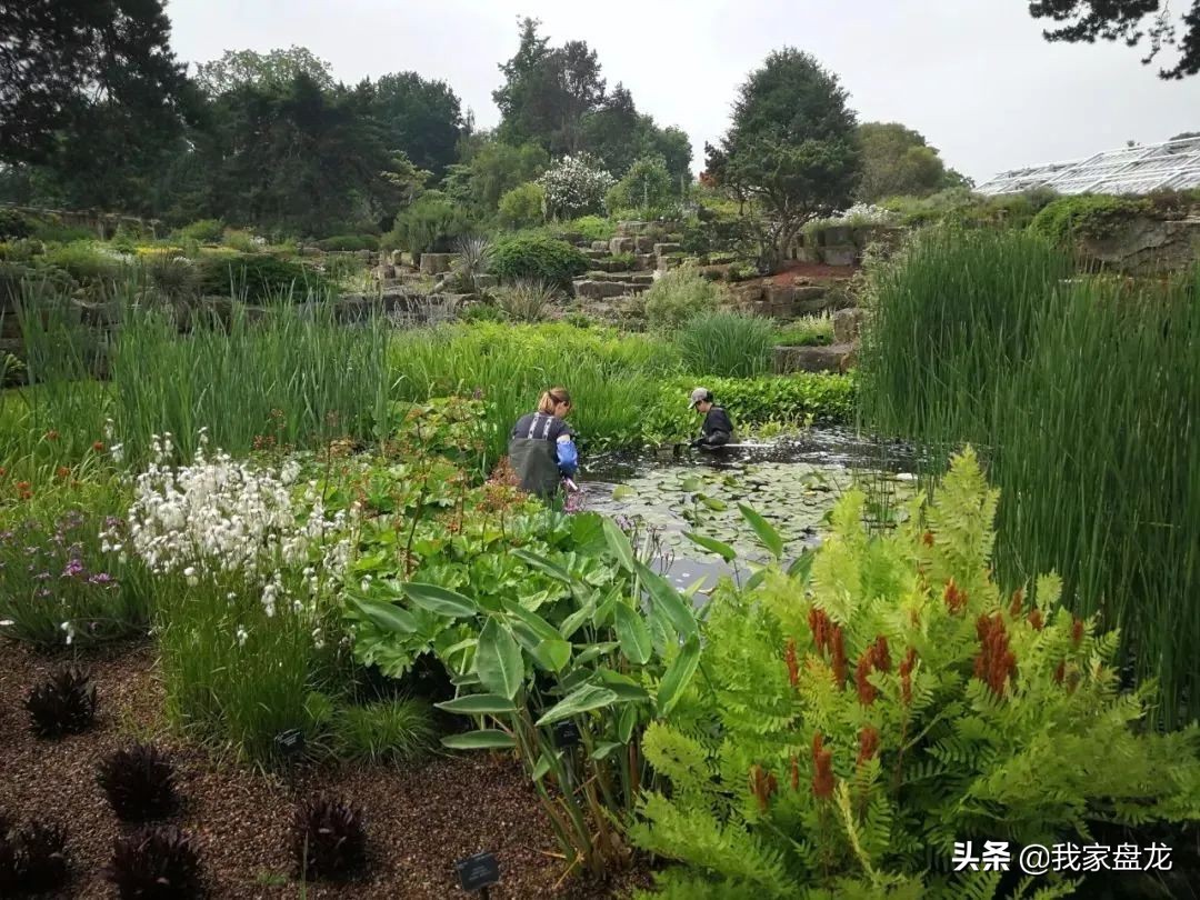 教你们一些特别实用的栽花小技巧,栽花有没有什么方法让它活得更好