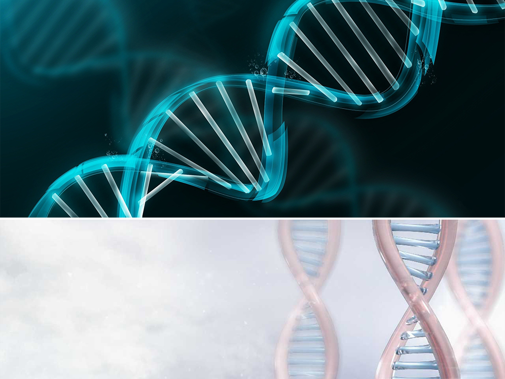 Denys-Drash综合征的主要症状是肾功能异常，以及男性性发育障碍