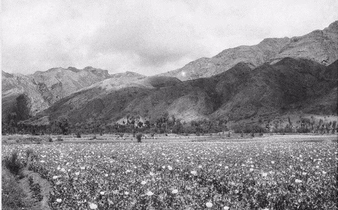 勿忘国耻日本侵略者的滔天罪行,侵华日军惨无人道的一面