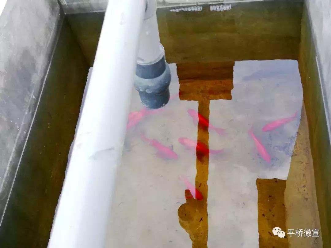 怎么样处理生活垃圾,如何处理生活垃圾