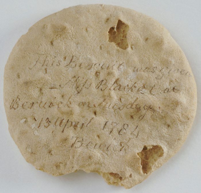 黑人奴隶在贩奴船上的生活：人挤人肉贴肉，与蟑螂、老鼠睡在一起