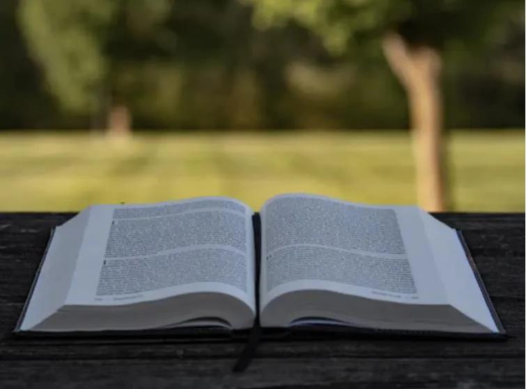 世界名著励志语录,名著励志名言30句