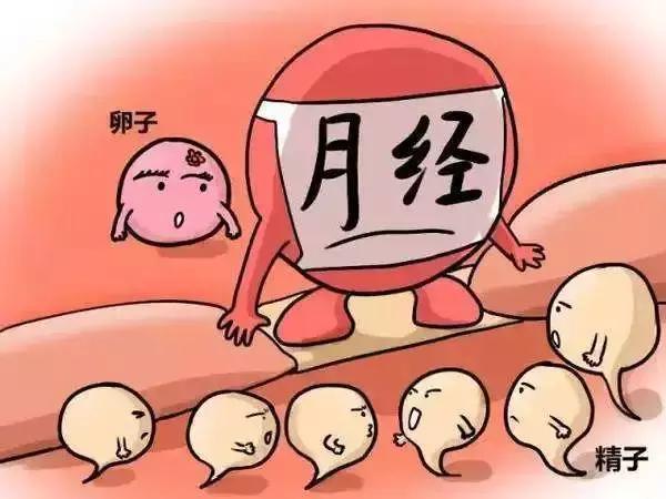 有月经不一定有排卵吗,围绝经期来月经有排卵还是无排卵