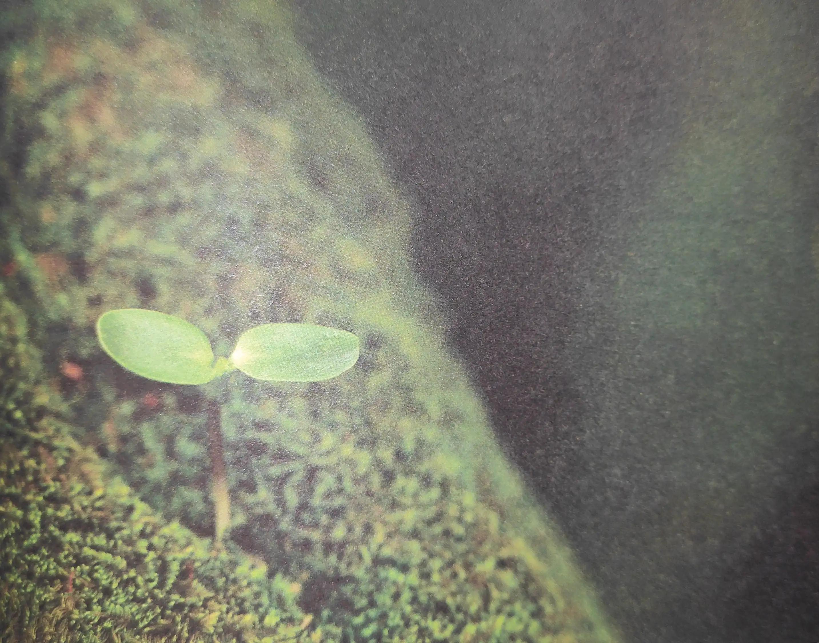 大冰的小屋和大冰什么关系,探访大冰的小屋