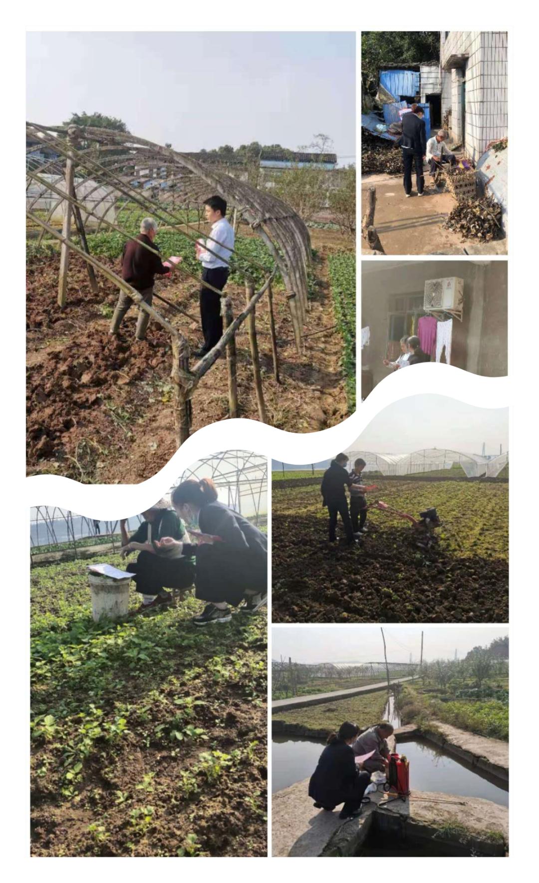 银行助力乡村振兴贷款简报,村镇银行信贷创新