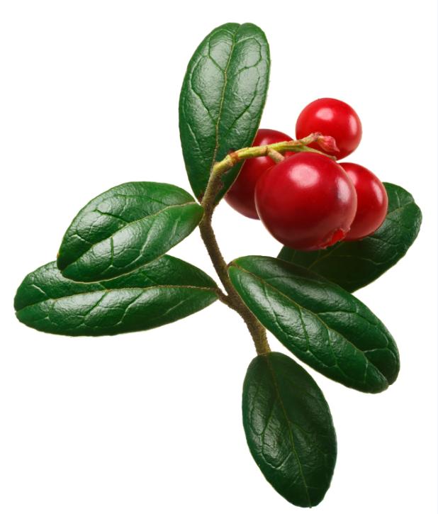 匠作美白祛斑套,匠作祛斑产品靠谱